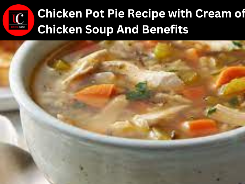 Chicken Pot Pie Recipe with Cream of Chicken Soup And Benefits
